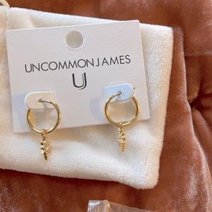 Women’s earrings